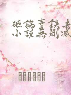 砸锅卖铁去上学小说无删减