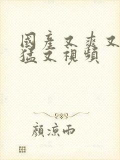 国产又爽又粗又猛又视频