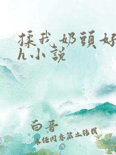 揉我奶头好爽嗯h小说