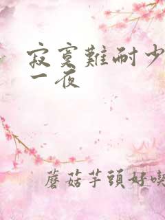 寂寞难耐少妇的一夜