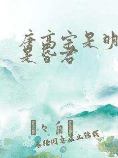 唐高宗是明君还是昏君