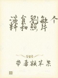 演员刘敏个人资料和照片