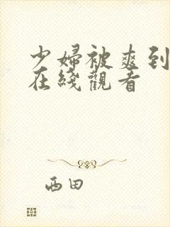 少妇被爽到高潮在线观看