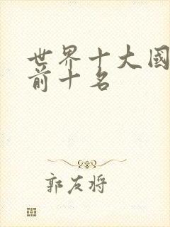 世界十大国排名前十名