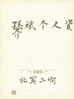 孙斌个人资料简介