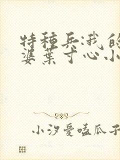 特种兵:我的老婆叶寸心小说