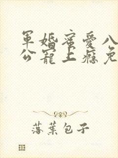 军婚蜜爱八零老公宠上瘾免费阅读