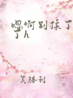 嗯啊别揉了高潮了h