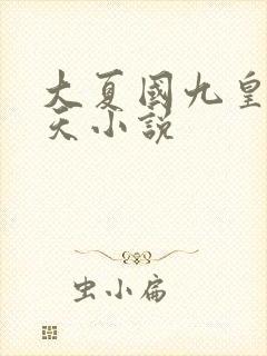 大夏国九皇子夏天小说