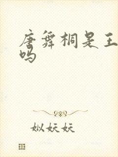 唐舞桐是王冬儿吗