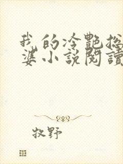 我的冷艳总裁老婆小说阅读