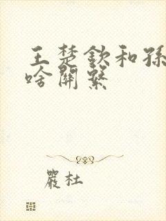 王楚钦和孙颖莎啥关系