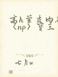 高h荤爽肉欲文〈np〉宝玉