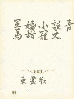 军婚小说青梅竹马甜宠文