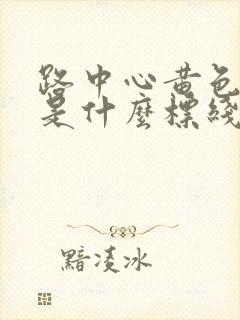 路中心黄色虚线是什么标线