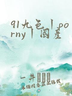 91九色丨porny丨国产
