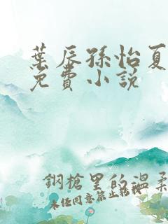 叶辰孙怡夏若雪免费小说