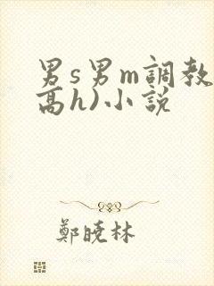 男s男m调教(高h)小说