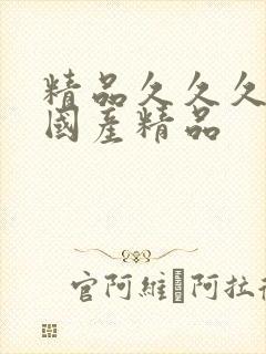 精品久久久久久国产精品