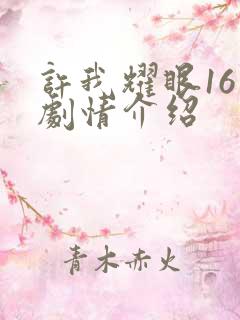 许我耀眼16集剧情介绍