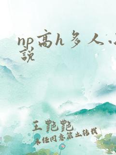 np高h多人小说