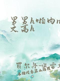 男男h啪肉np文高h