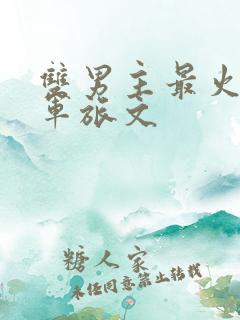 双男主最火十大军旅文