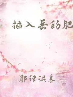 插入岳的肥穴