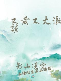 又黄又大激情小说