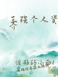 王强个人资料简介