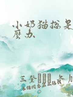 小奶猫总是叫怎么办