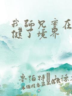 我师兄实在太稳健了境界