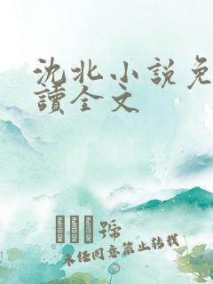 沈北小说免费阅读全文