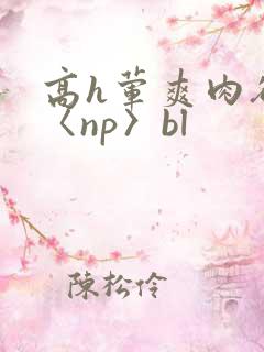 高h荤爽肉欲文〈np〉bl