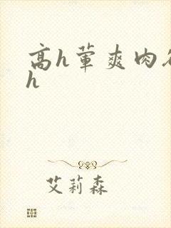 高h荤爽肉欲文h