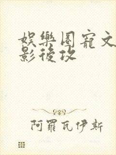 娱乐圈宠文gl影后攻