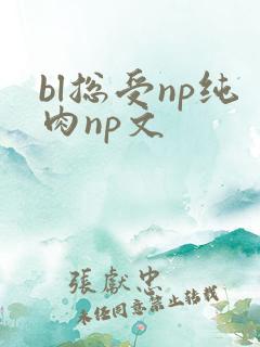 bl总受np纯肉np文