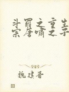 斗罗之重生昊天宗唐啸之子