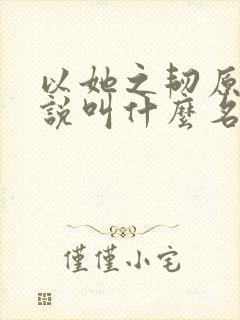 以她之韧原著小说叫什么名字