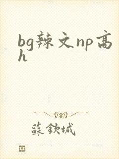 bg辣文np高h