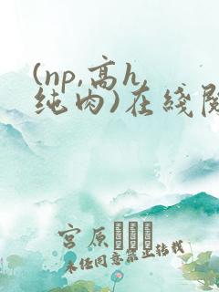 (np,高h,纯肉)在线阅读