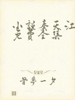 小说秦天江轻雪免费全集