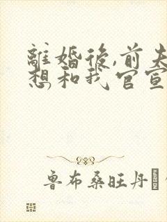 离婚后,前夫总想和我官宣免费观看