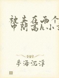 被夹在两个男的中间高h小说