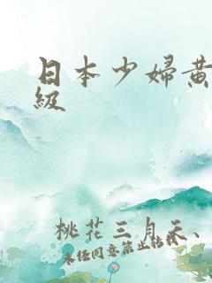 日本少妇黄色一级