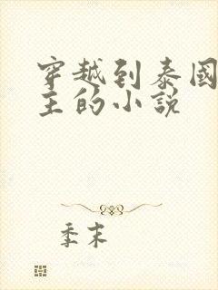 穿越到泰国双男主的小说