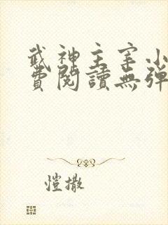 武神主宰小说免费阅读无弹窗