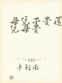 母凭子贵还是子凭母贵