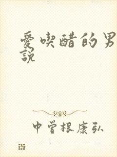 爱吃醋的男主小说