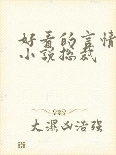 好看的言情甜宠小说总裁